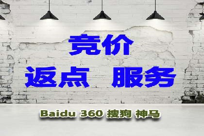 行业领先企业的SEM代运营成功之路